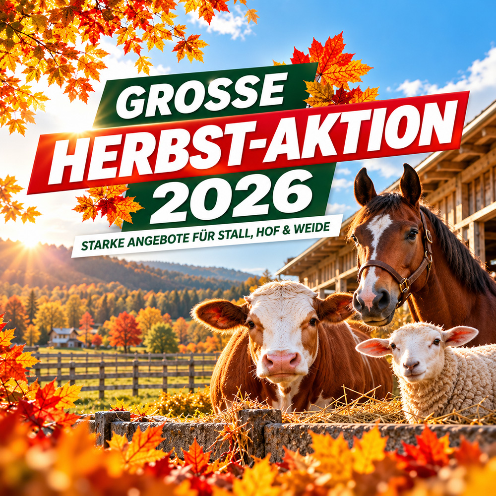 Aktionsfoto Herbst|default:Herbstaktion 2026|default:.NAME